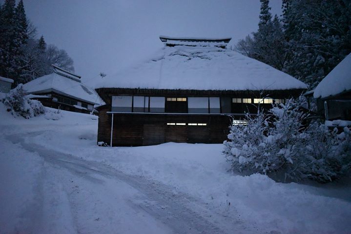 まだまだ活動中