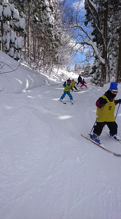 林間コースを滑走するE班。