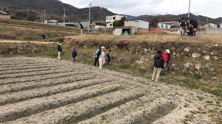 本日カブ1隊は野草狩り！