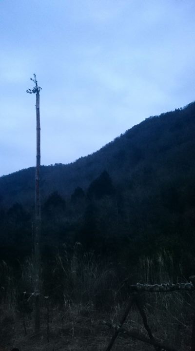 おはようございます。