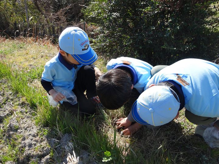 ビーバー隊は春を探す集会。