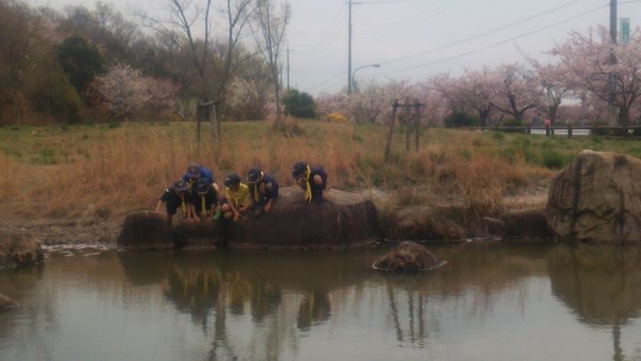 トンボの羽化に大興奮のカブ。