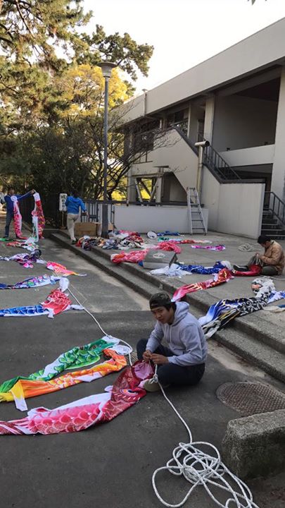 夙川の鯉のぼり設置中！