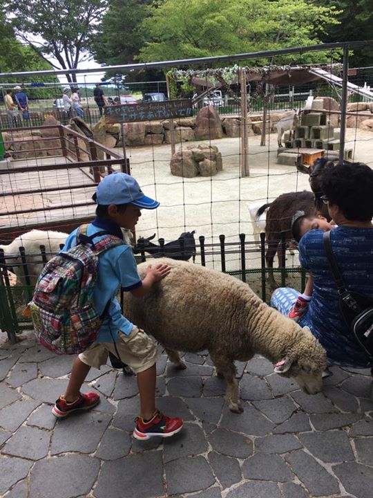 みんな仲良し☆動物との触れ合い！