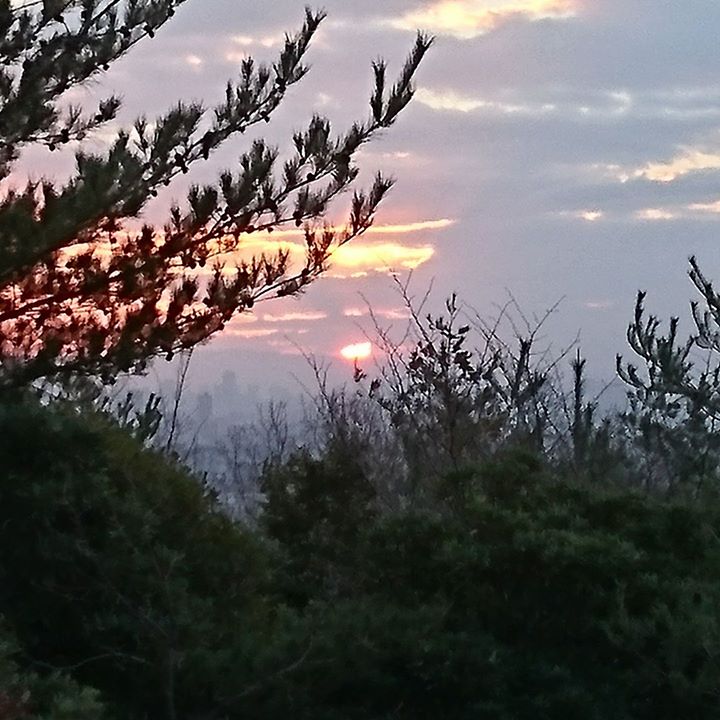 1月1日、新年初の合同団集会、初日の出集会が行われました。