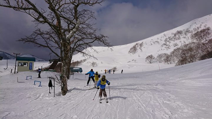 今日も風が強く、時々雪も吹き付けましたが、晴れ間が多くてスキー日和です。