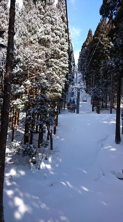 本日は快晴、パウダースノー。