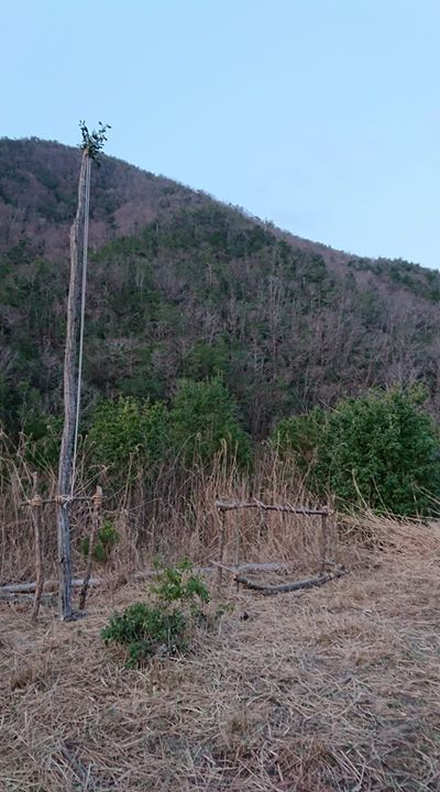 おはようございます。