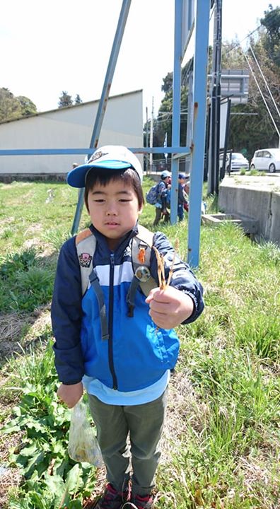 ビーバー隊は船坂で野草採りをしました。