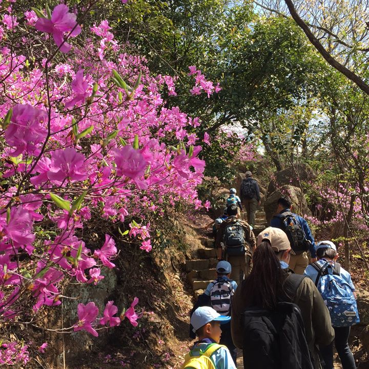 北山植物園までハイキング。