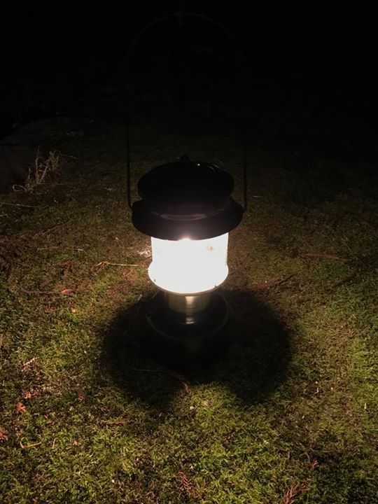 夜のプログラム、五感訓練、開始。