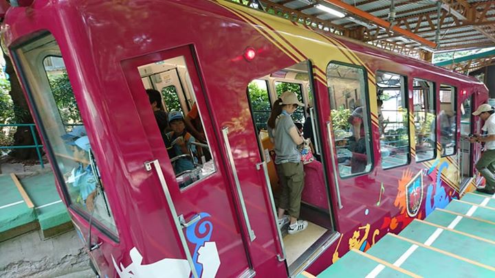 ビーバーは六甲山で、13団と一緒に活動です。