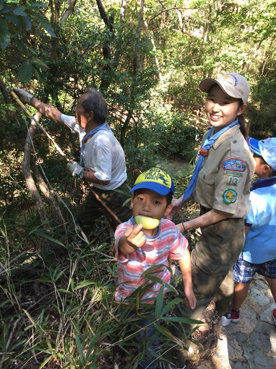 甲山であけびとり。