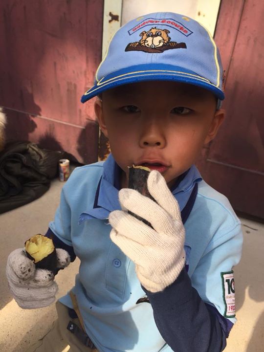 ビーバー地域探検中。