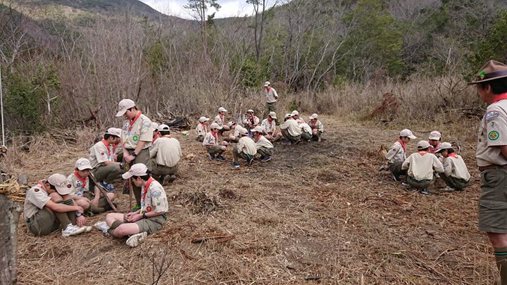 今日は日曜日。