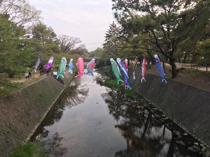 いつもありがとうございます😊