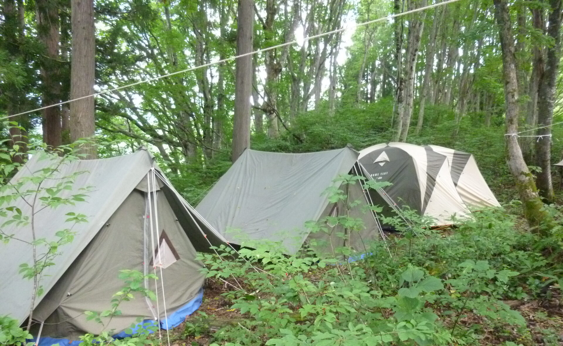 池原の森キャンプ場